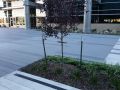 outdoor area in front of Garmin with nice landscaping and decorative concrete