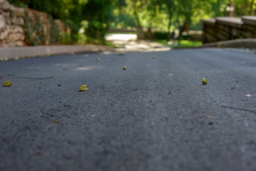 up close image of freshly laid asphalt with tree leaves on it