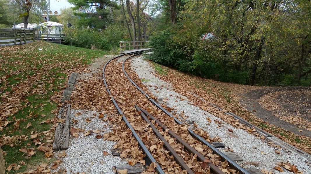 railroad track covered with a bunch of fall leaves